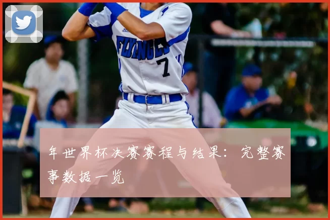 年世界杯决赛赛程与结果:完整赛事数据一览