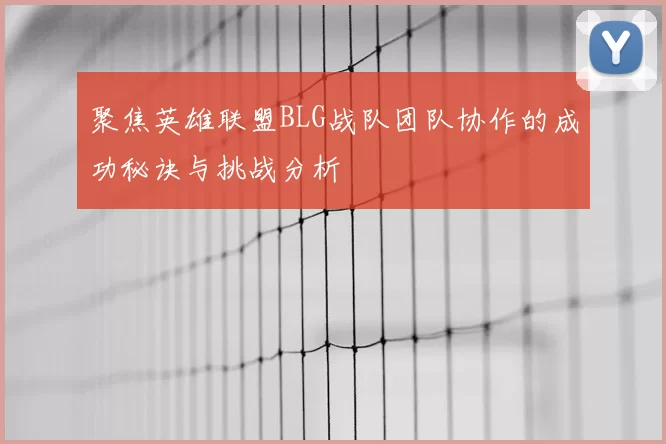 聚焦英雄联盟BLG战队团队协作的成功秘诀与挑战分析