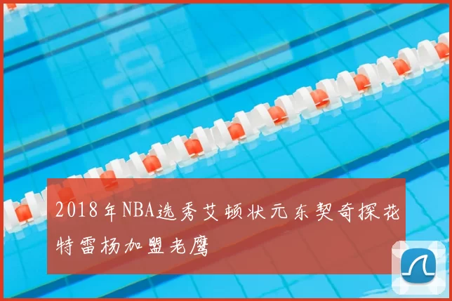 2018年NBA选秀艾顿状元东契奇探花特雷杨加盟老鹰