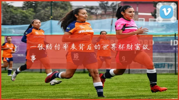 一张赔付率表背后的世界杯财富故事