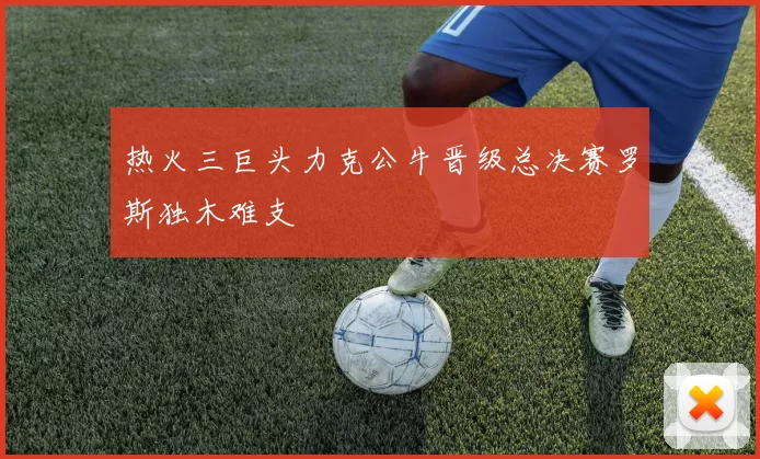 热火三巨头力克公牛晋级总决赛罗斯独木难支