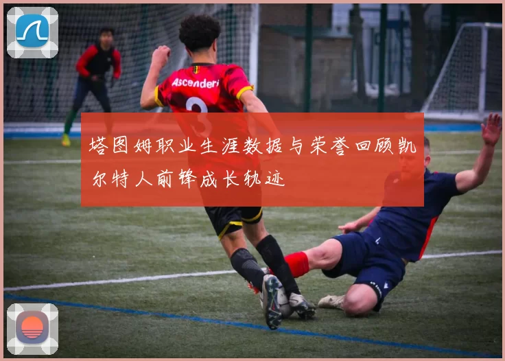 塔图姆职业生涯数据与荣誉回顾凯尔特人前锋成长轨迹