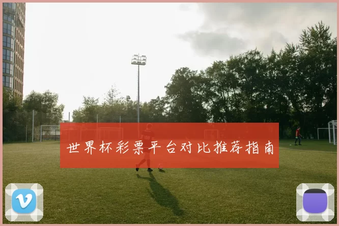 世界杯彩票平台对比推荐指南
