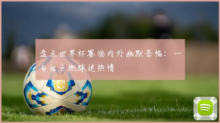 盘点世界杯赛场内外幽默条幅:一句话点燃球迷热情