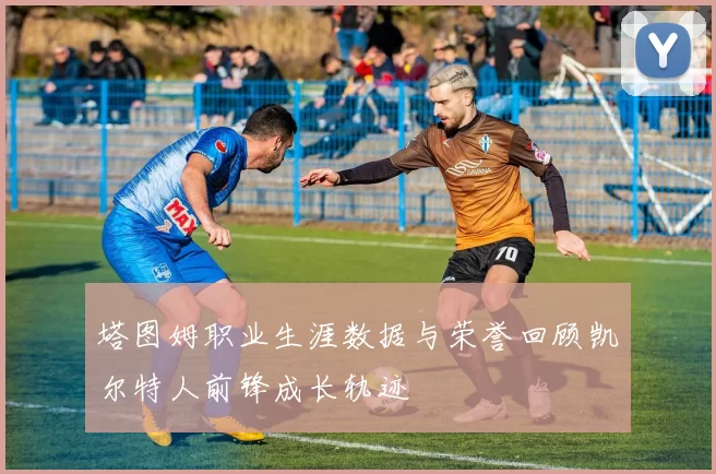 塔图姆职业生涯数据与荣誉回顾凯尔特人前锋成长轨迹
