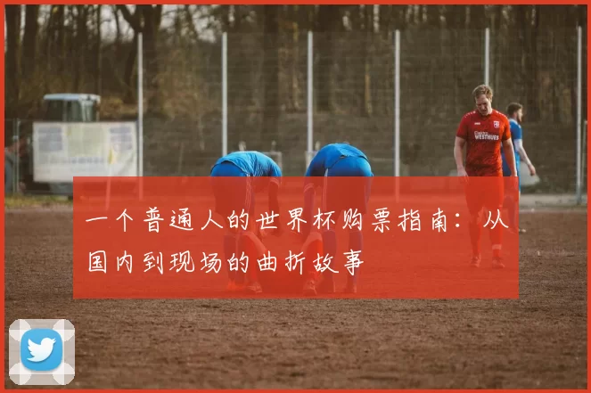 一个普通人的世界杯购票指南：从国内到现场的曲折故事