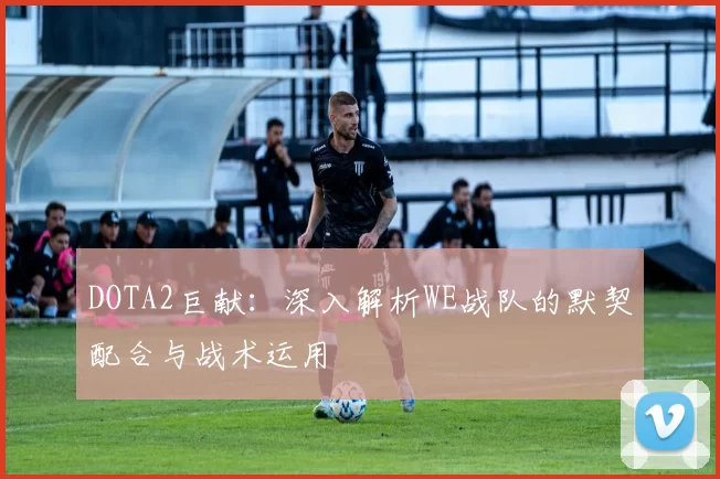 DOTA2巨献：深入解析WE战队的默契配合与战术运用