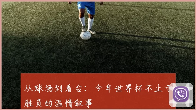 从球场到看台：今年世界杯不止于胜负的温情叙事