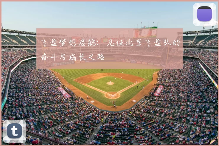 飞盘梦想启航:见证北京飞盘队的奋斗与成长之路