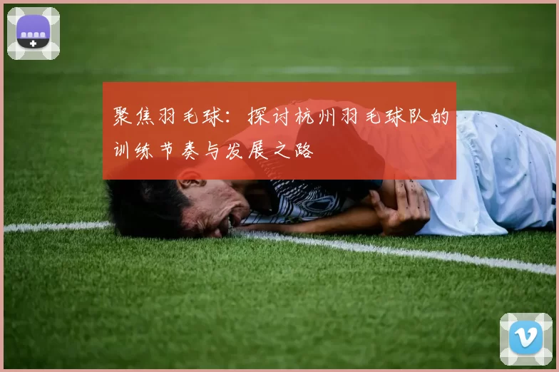 聚焦羽毛球:探讨杭州羽毛球队的训练节奏与发展之路